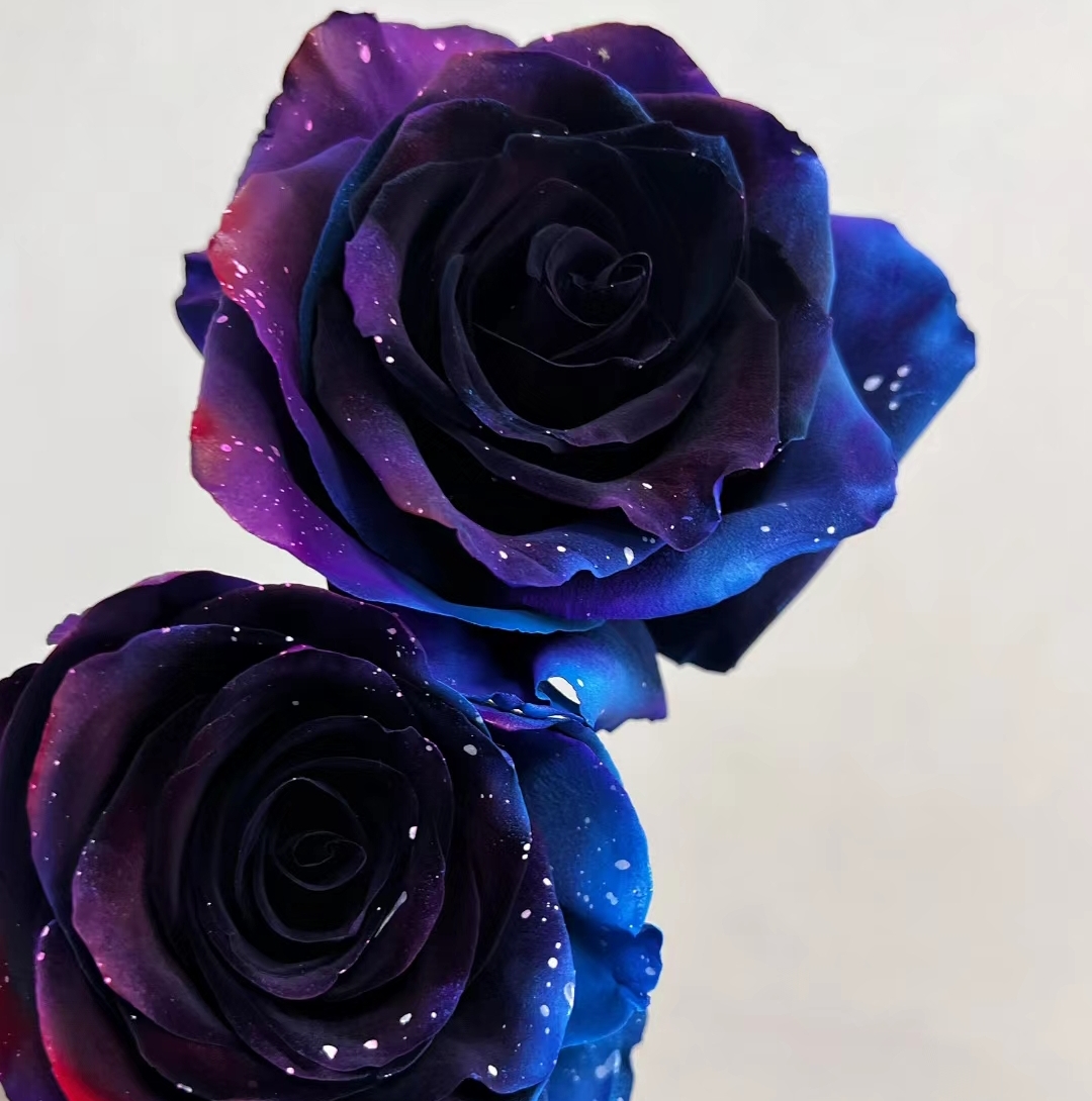 Starry Sky Roses-chloriseeds