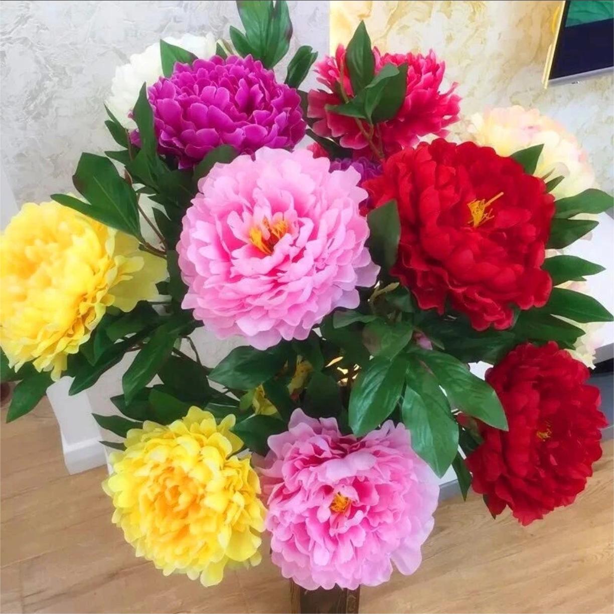 Mix 12 Colors- Moutan Peony Flower Seeds