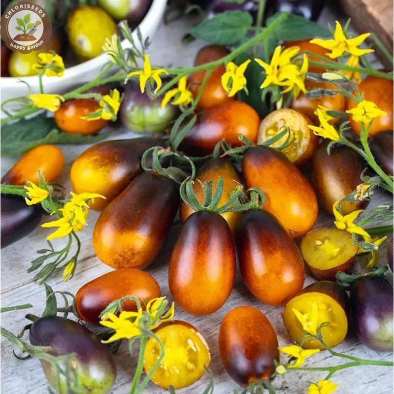 Waterfall Tomatoes Seeds-High Yield