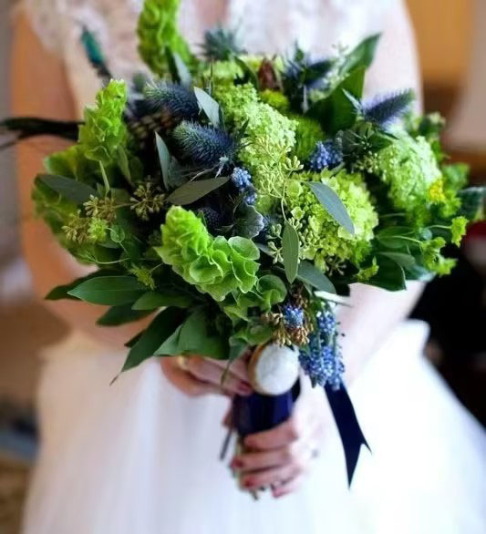 Bells of Ireland Seeds