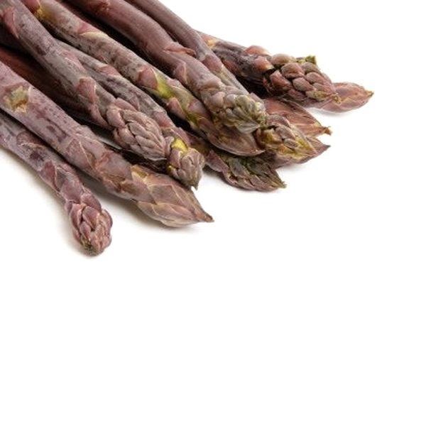 Purple Passion Seeds-chloriseeds