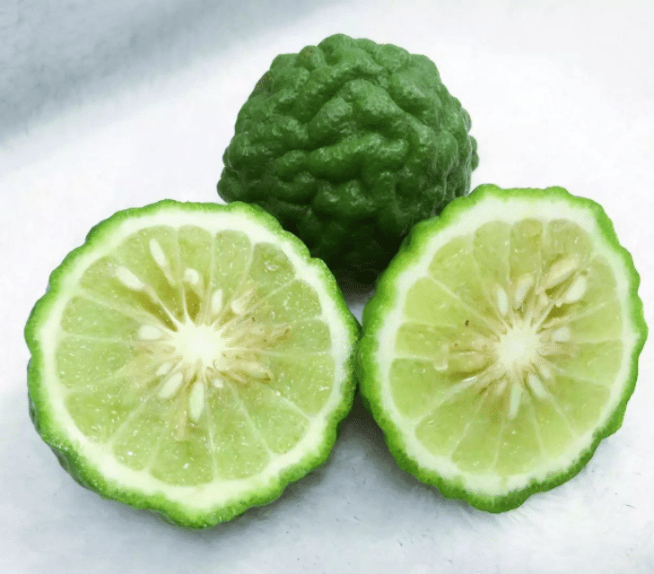 9 PCS VERY RARE LEMON SEEDS