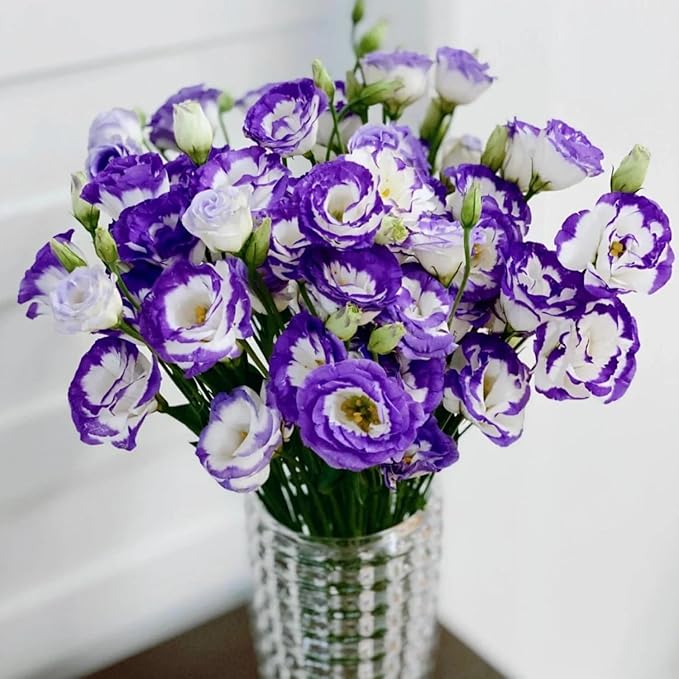 💐Heirloom Lisianthus Seeds