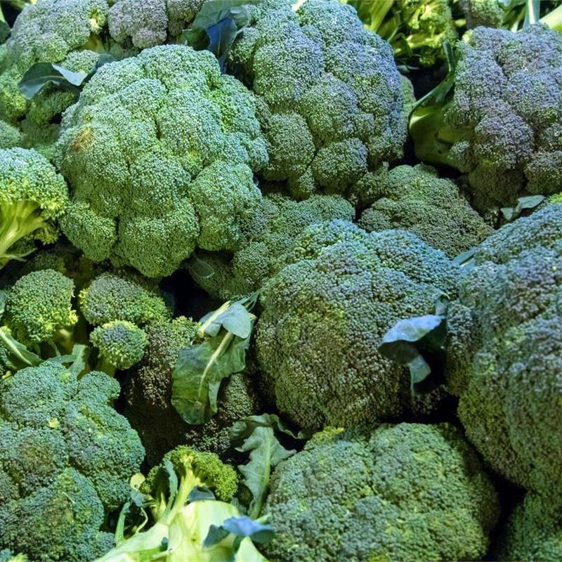 Broccoli Emerald Crown F1-chloriseeds