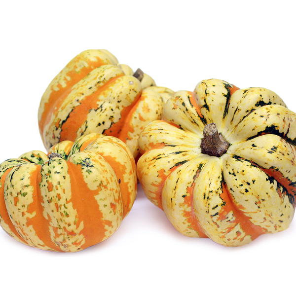 Carnival Squash Seeds-chloriseeds