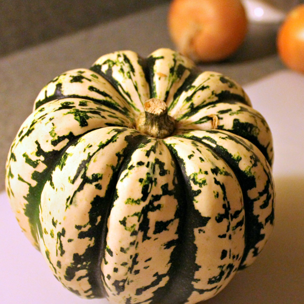 Carnival Squash Seeds-chloriseeds