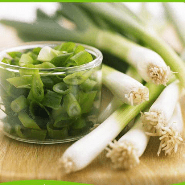Green Onions (80 Seeds)