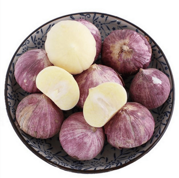 Red/Purple Garlic Seeds