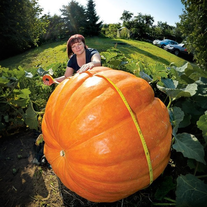 🔥 Huge fruits and vegetables