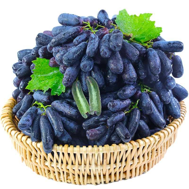 Seedless Sapphire Grapes Seeds