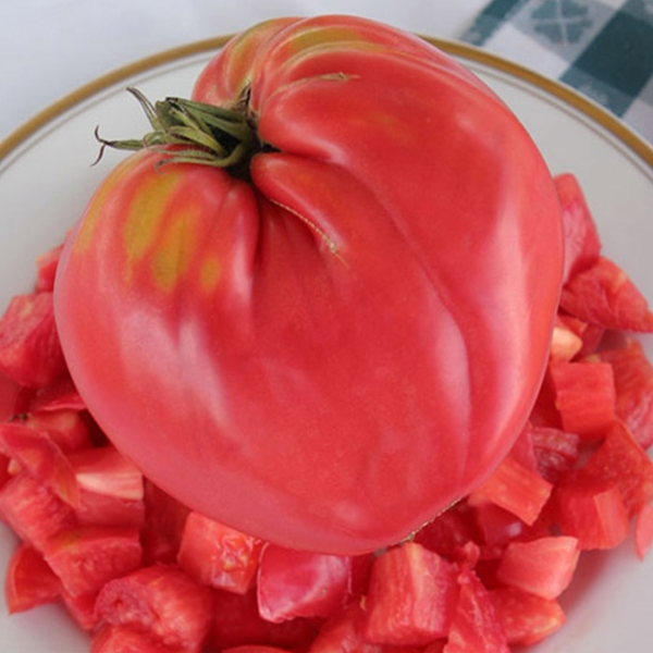 Organic Oxheart Tomato Seeds-chloriseeds