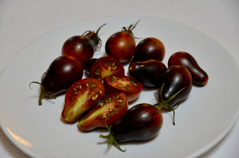 Blue Keyes Tomato Seeds • Dark Anthocyanin Pear Cherry • Open Pollinated • Modern Variety-chloriseeds