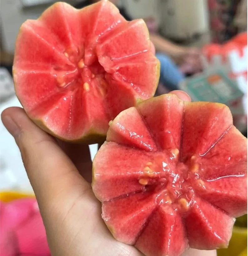 Red-Fleshed Guava Seeds