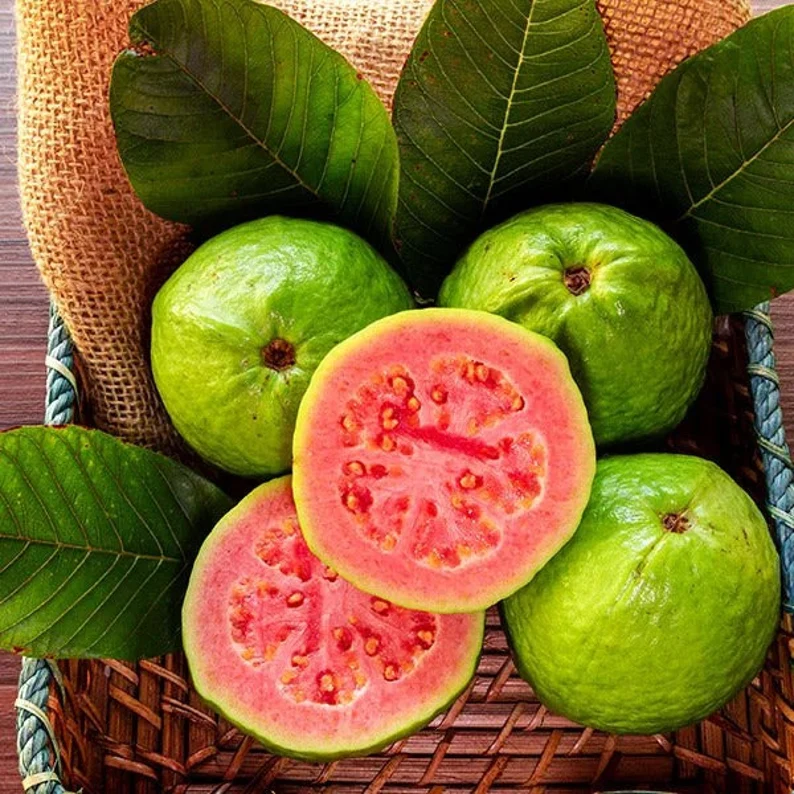 Red-Fleshed Guava Seeds