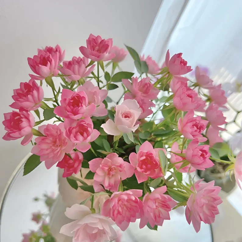 🌸Lotus Star Rose Seeds-Blooming All Year, Bringing Continuous Good Fortune🌸