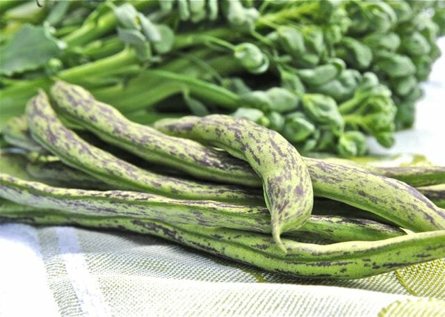 Rattlesnake Bean Seeds