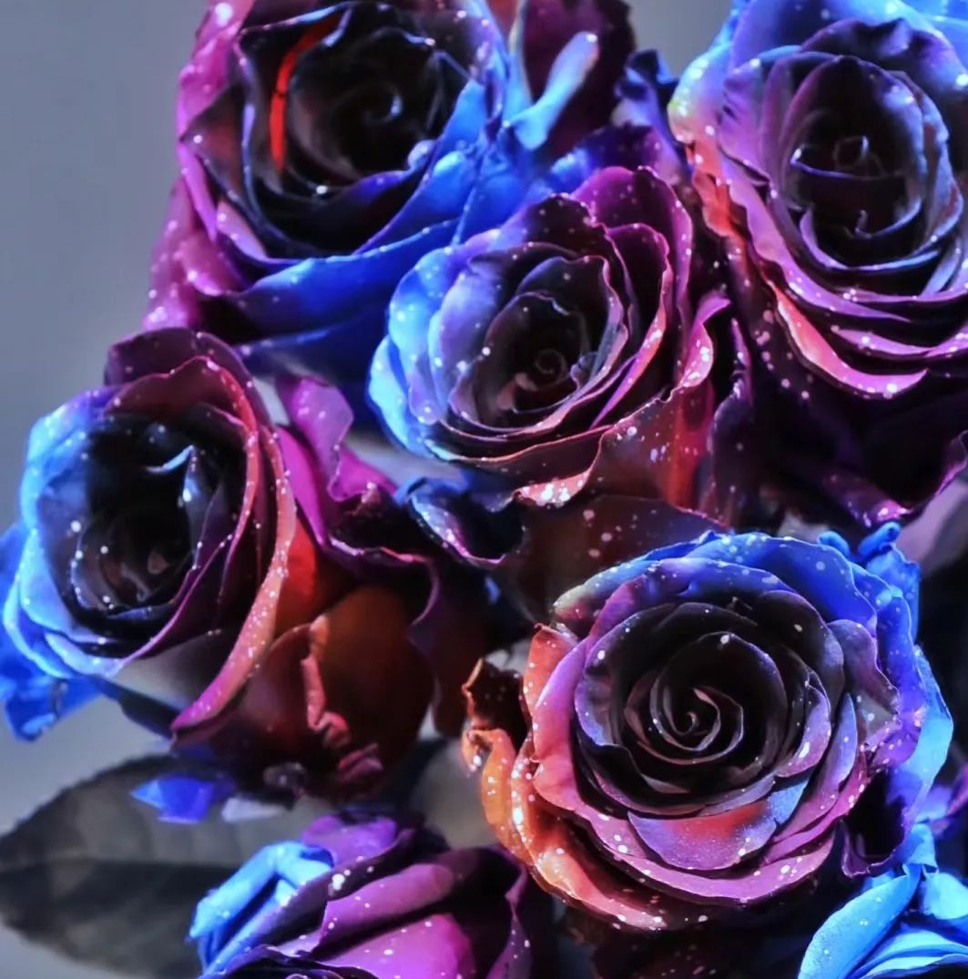 Starry Sky Roses-chloriseeds