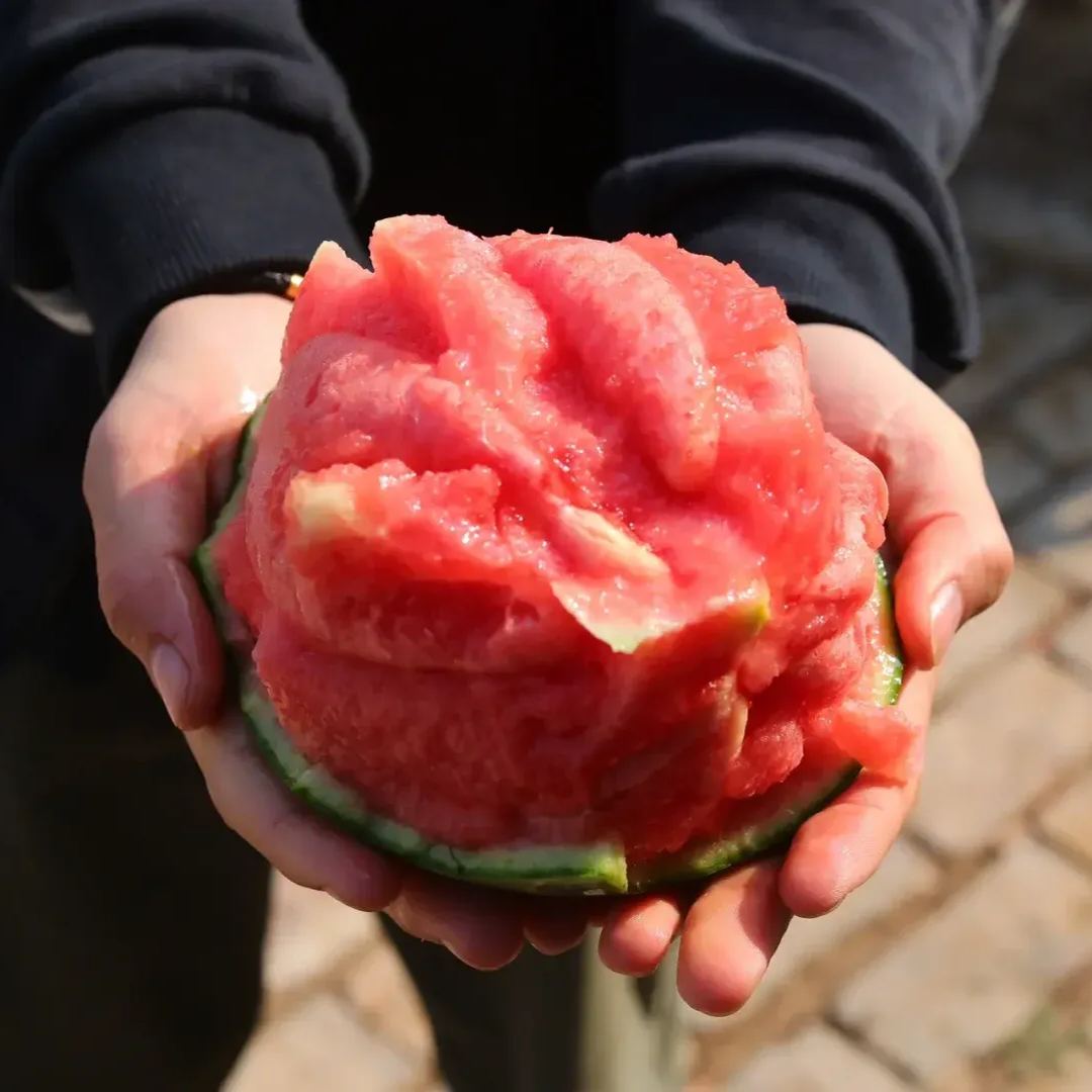 Ruby Mini Watermelons Seeds