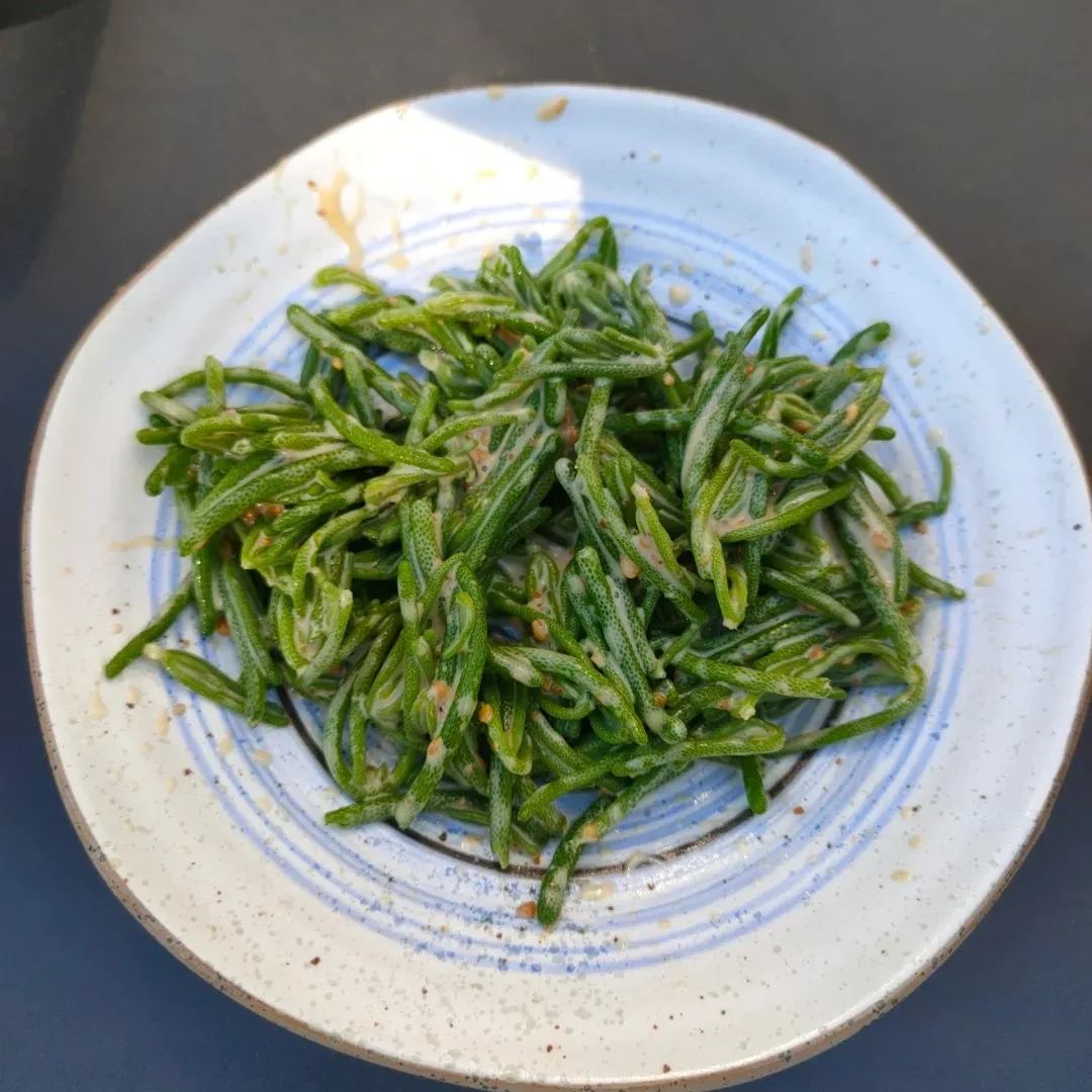 Organic Fresh Sea Purslane（Crystalline Iceplant）