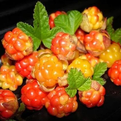 Red Raspberry Seeds