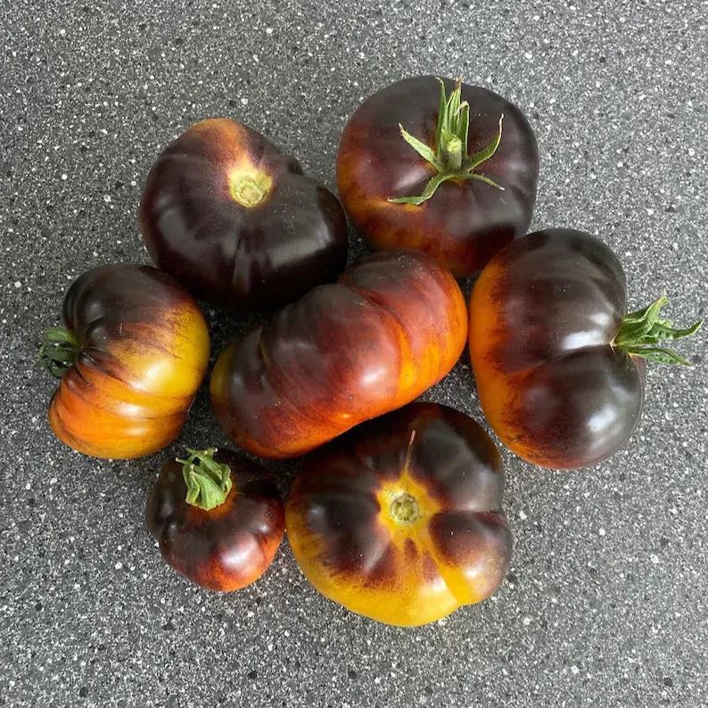 Lucid Gem Tomato Seeds Organic, Heirloom Tomatoes