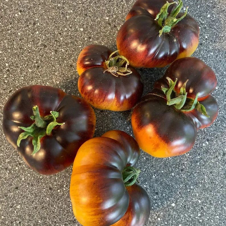 Lucid Gem Tomato Seeds Organic, Heirloom Tomatoes