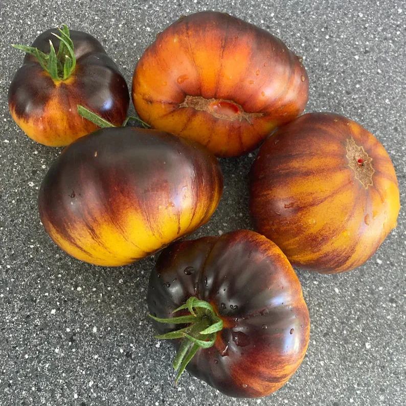 Lucid Gem Tomato Seeds Organic, Heirloom Tomatoes