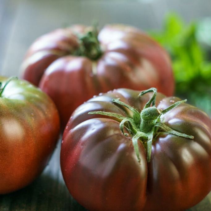 Lucid Gem Tomato Seeds Organic, Steak Tomatoes, Heirloom Tomatoes