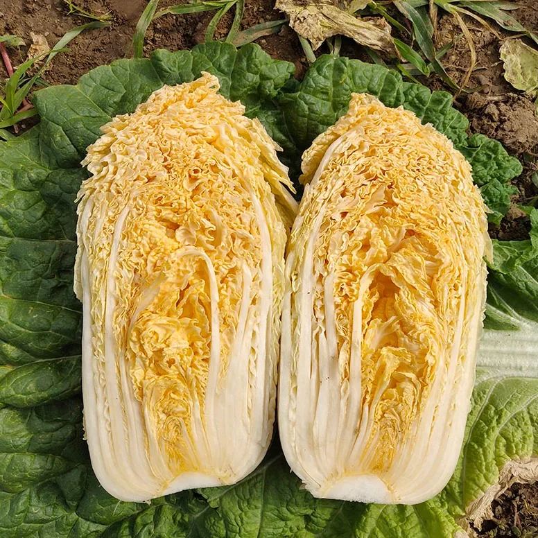 Orange Heart Chinese Seeds