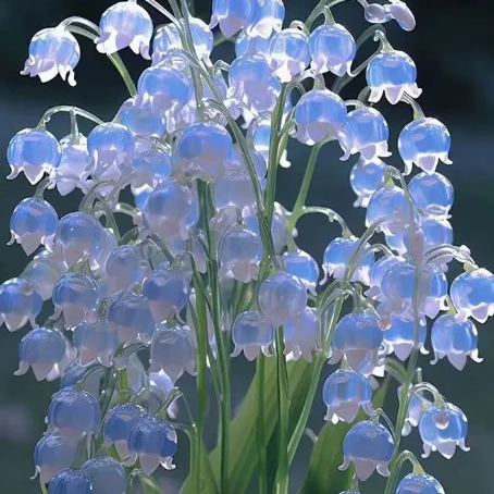 Lily of the Valley Seeds | Fragrant Flowers