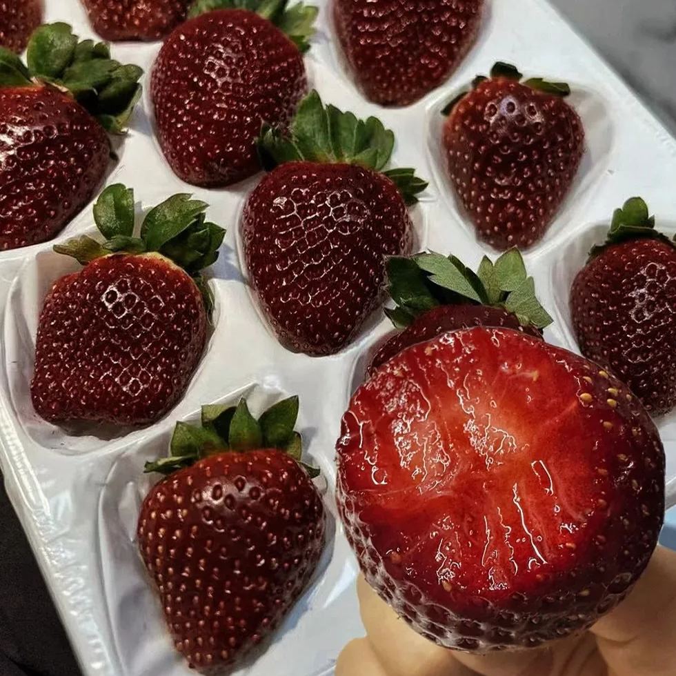 True Red Meiling Strawberries Seeds