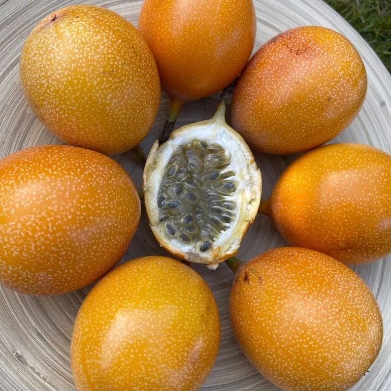 Passion Fruit Seeds
