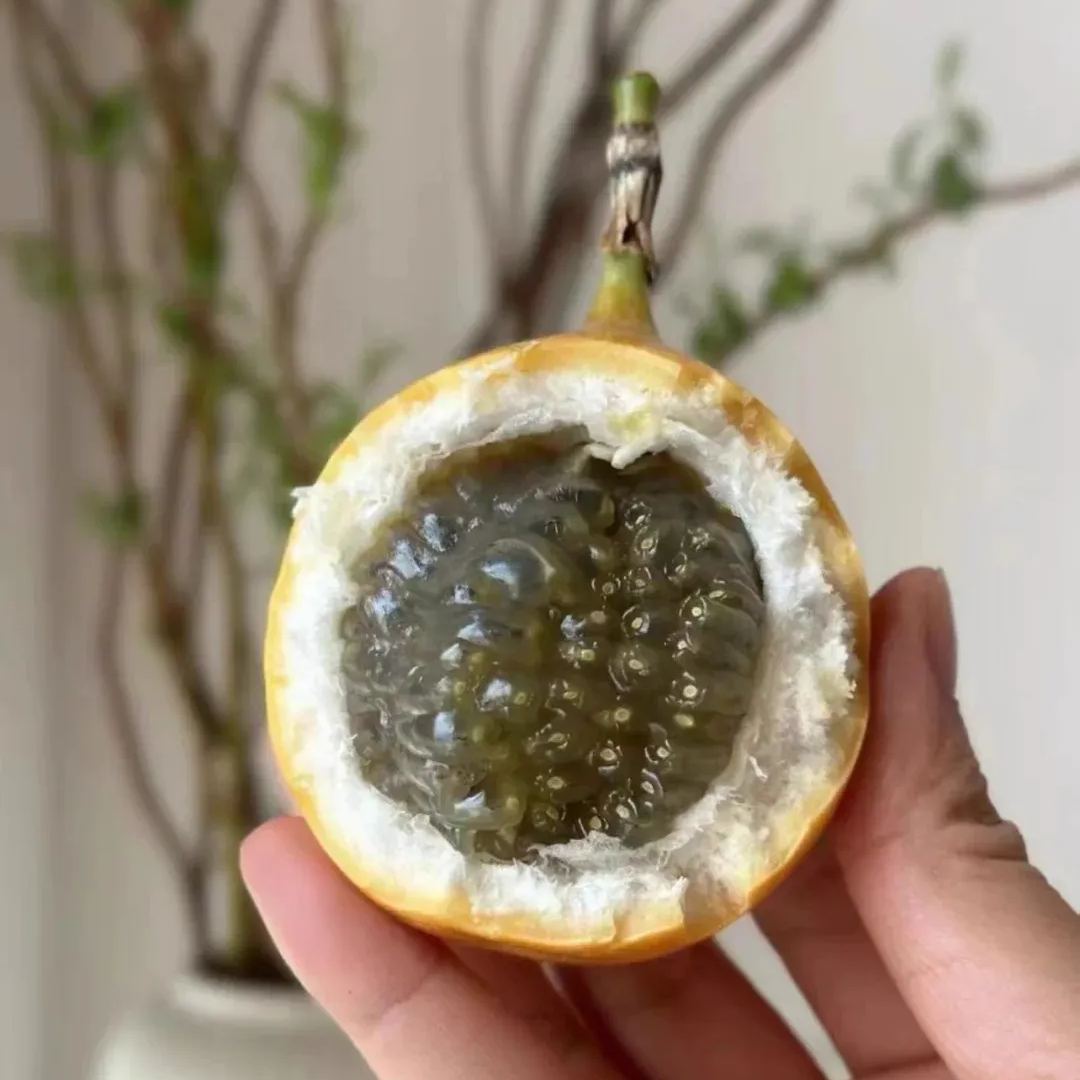 Passion Fruit Seeds