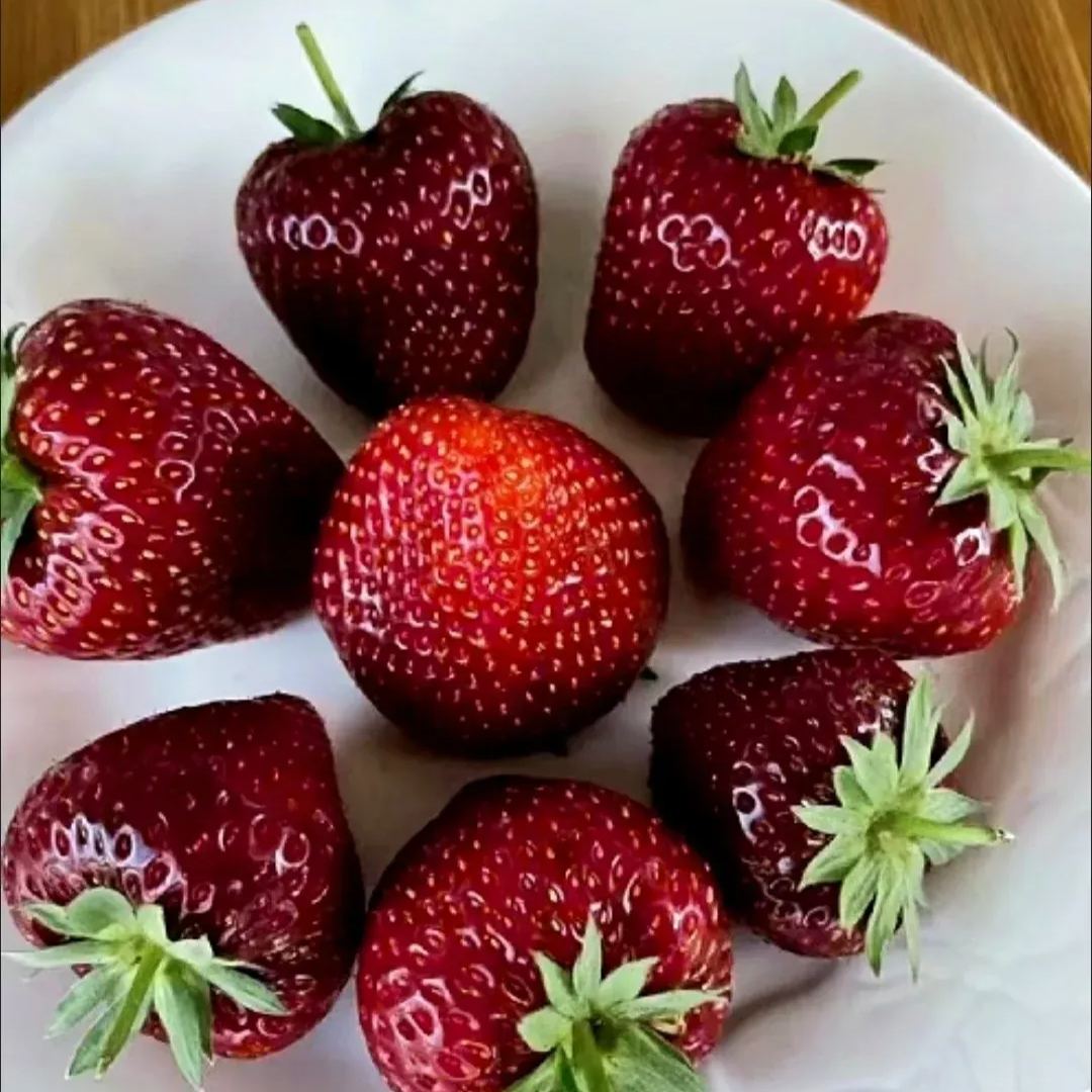 🪴Rare Strawberry Fruits Seeds🍓Various Strawberry