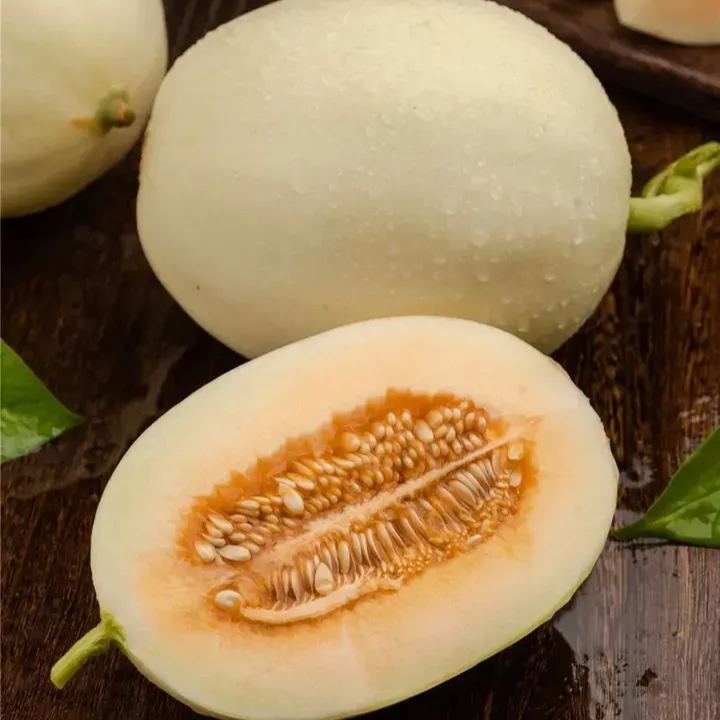 White Honeydew Melons Seeds