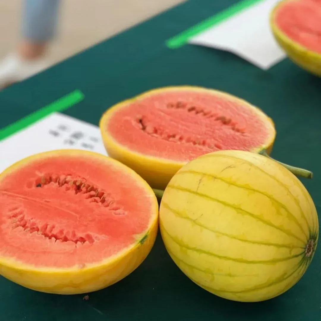 Golden Crisp Watermelon Seeds