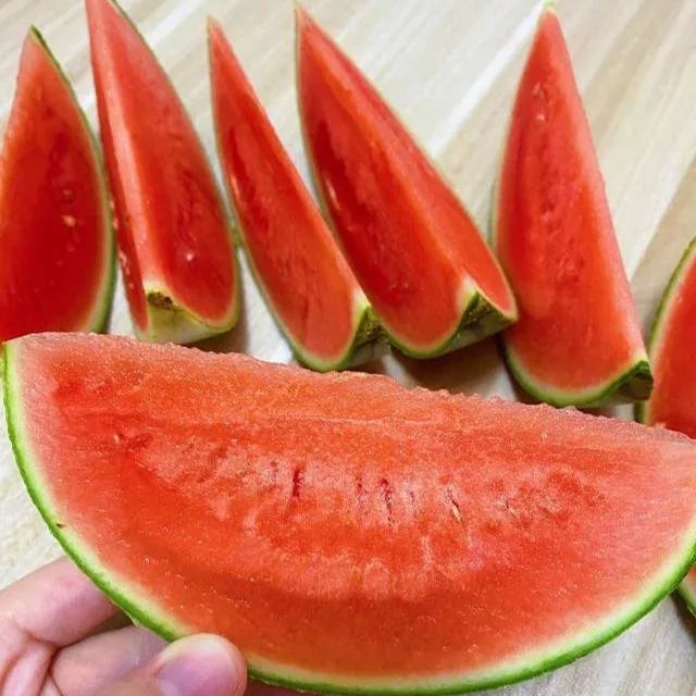 thin skin 2K Mini Watermelons Seeds