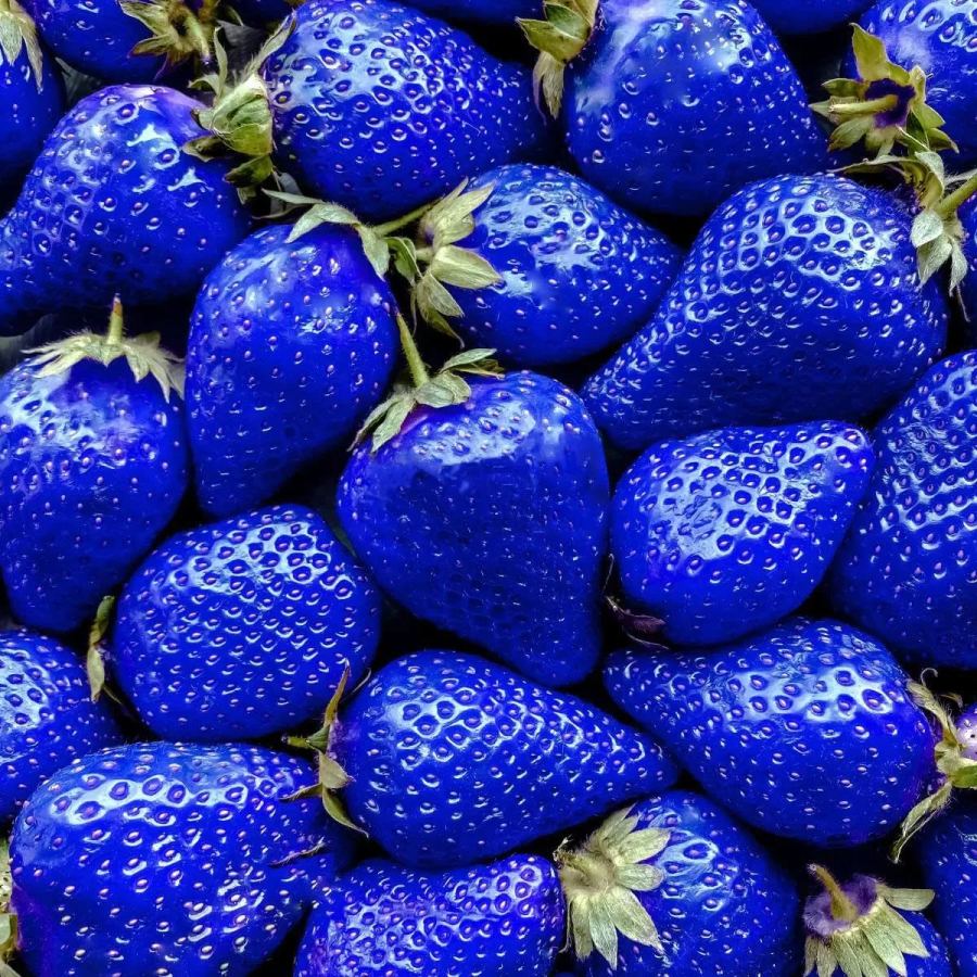 🪴Rare Strawberry Seeds🍓 Juicy and Sweet💥 Best Seller of 2024