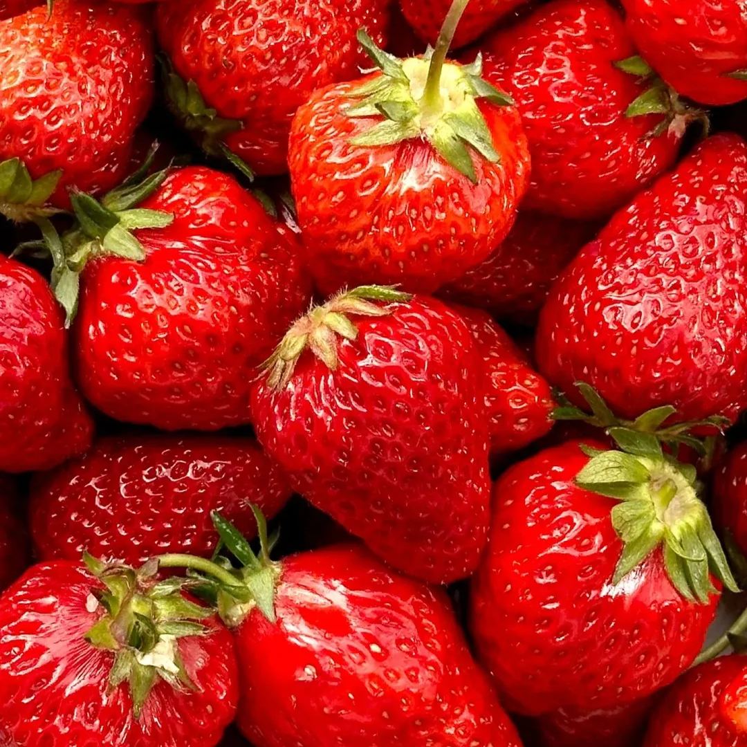 All Year-Round Strawberry Seeds