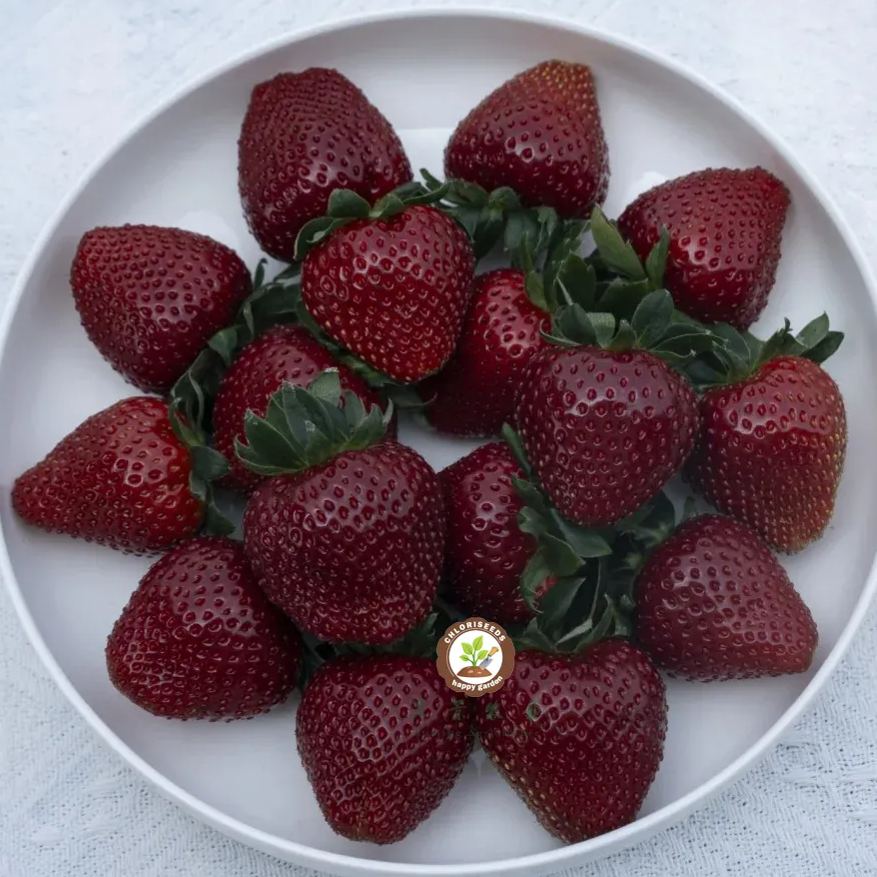 All Year-Round Strawberry Seeds