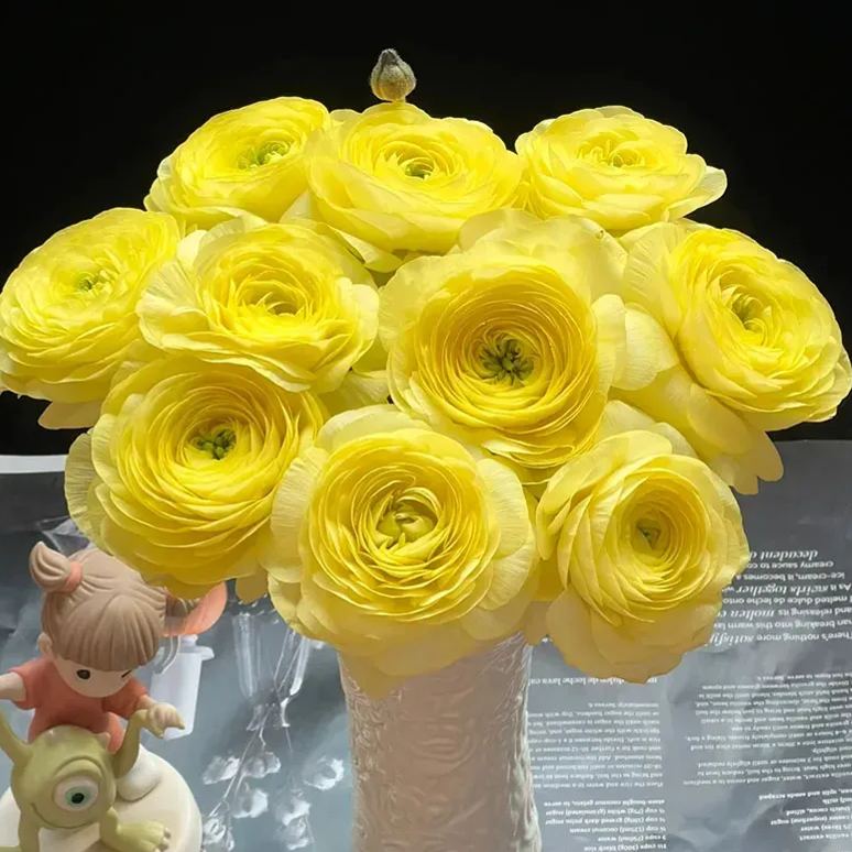 🔥53% OFF Mixed Color Ranunculus Bulbs