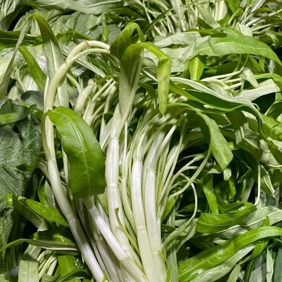 Water Spinach Seeds, Kangkong Seeds