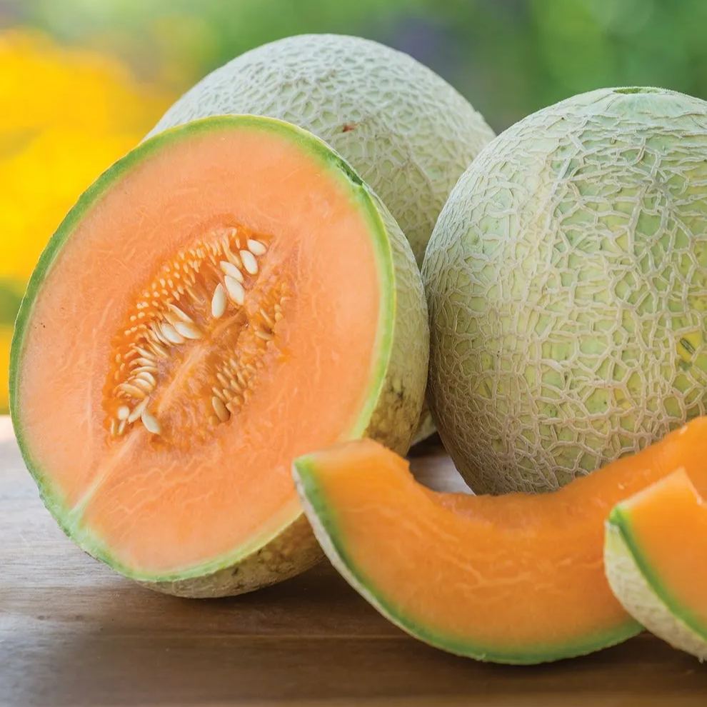 Netted Muskmelon Seeds, Japanese Melon Seeds