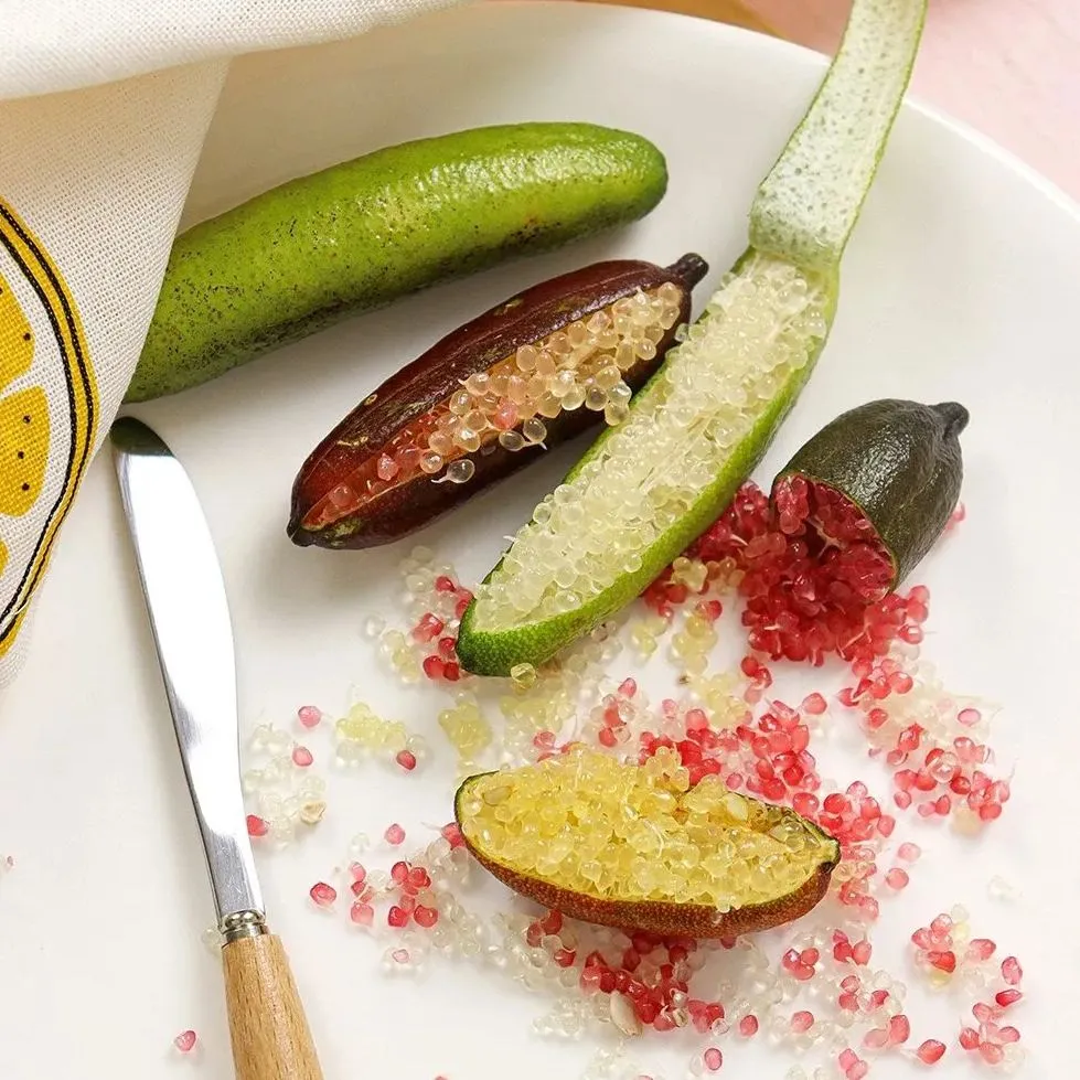 50% off 🍋Lemon caviar! 🪴Finger lemon seeds