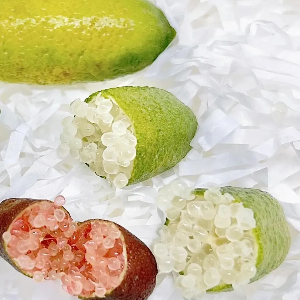 50% off 🍋Lemon caviar! 🪴Finger lemon seeds