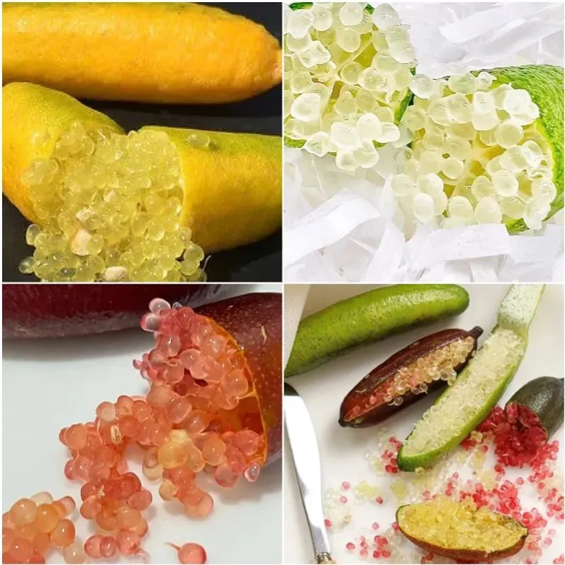 50% off 🍋Lemon caviar! 🪴Finger lemon seeds