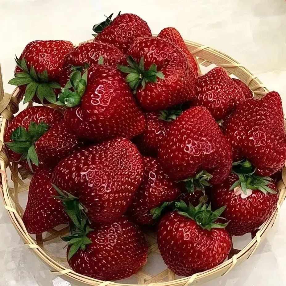 True Red Meiling Strawberries Seeds