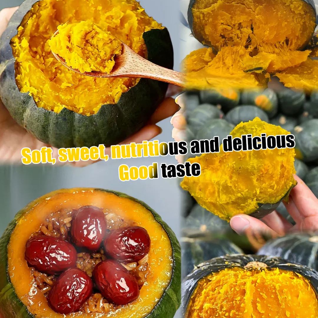 🎃BeiBei Pumpkin Seeds🌱