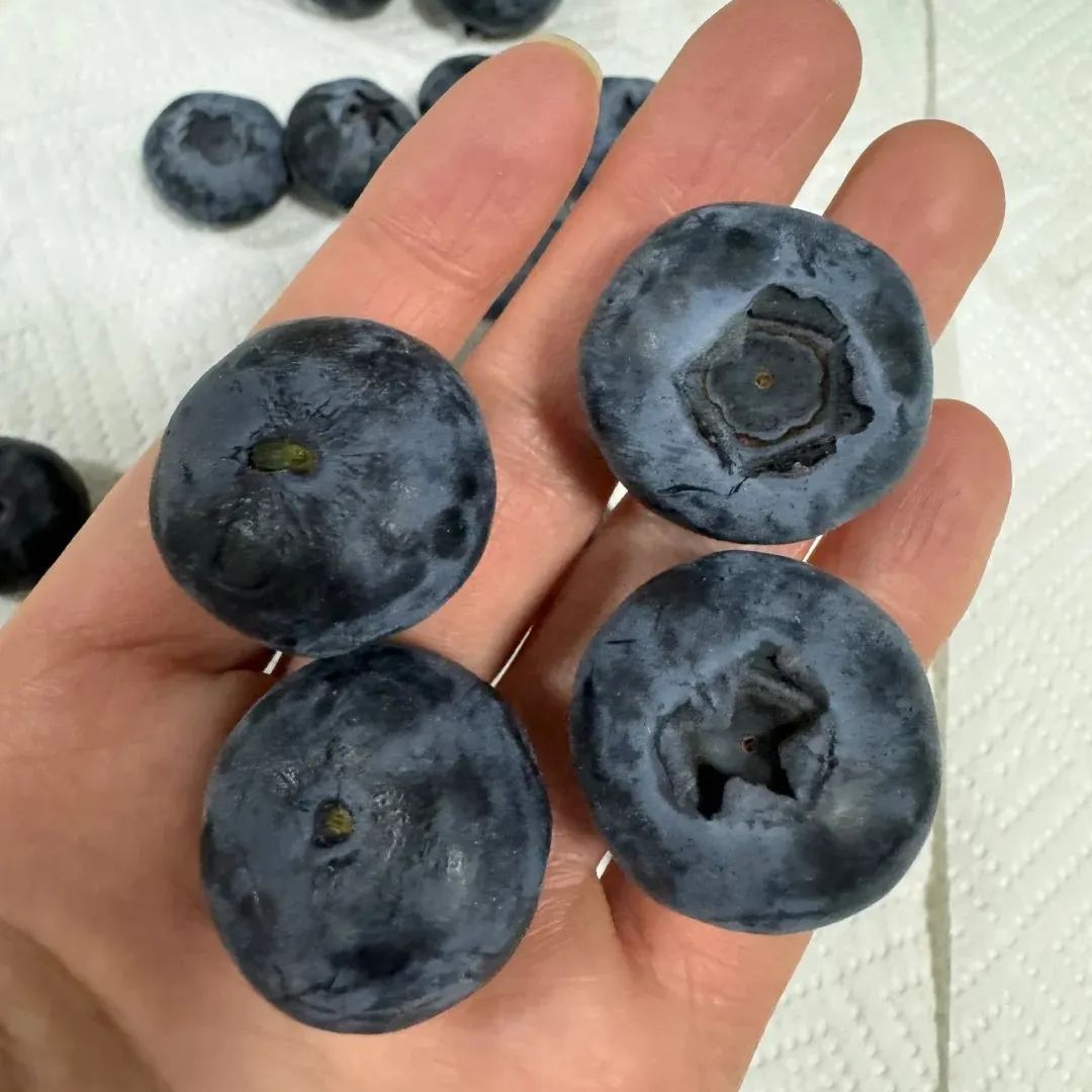 Giant Blueberries Seeds