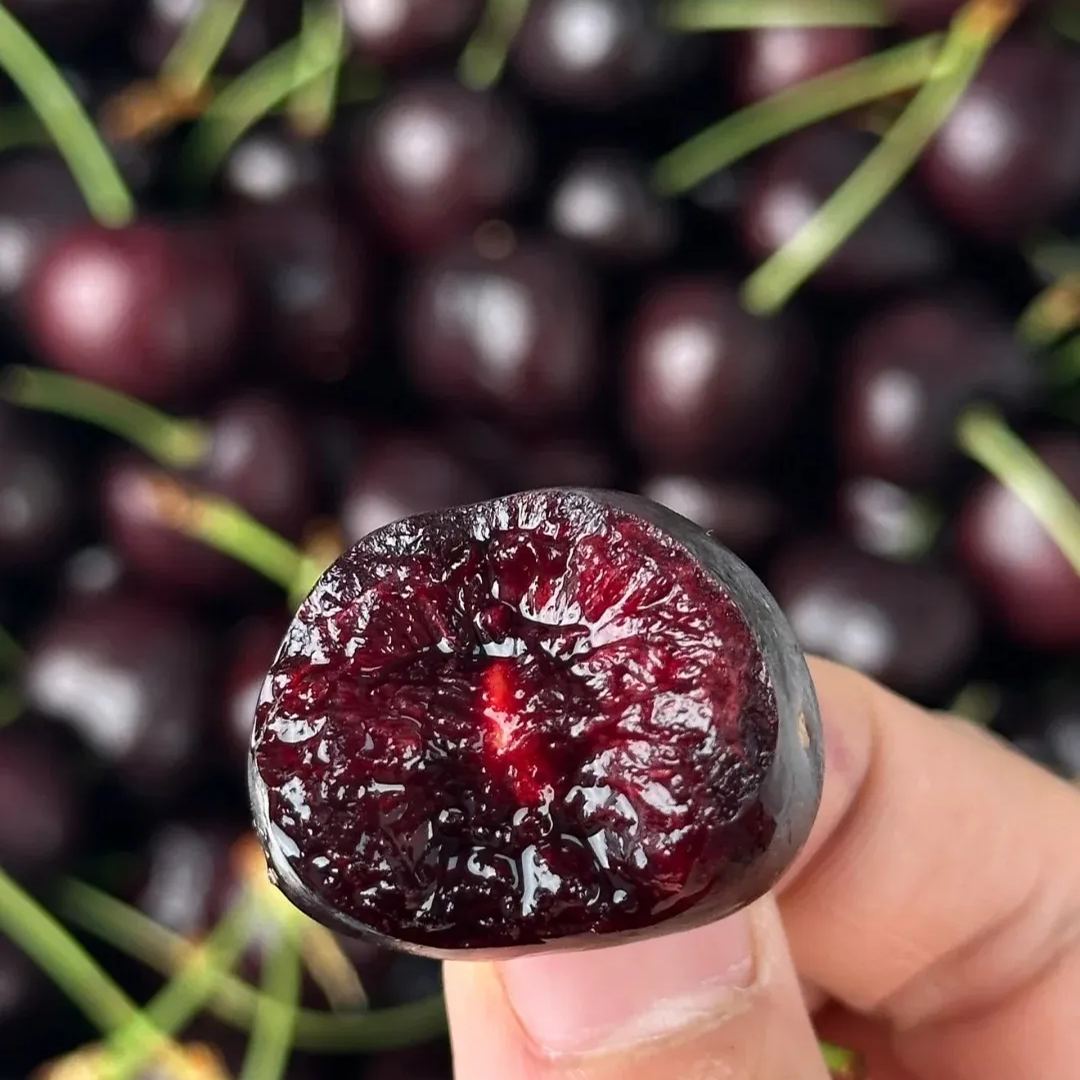 🍒High-Quailty Rainier Cherry Fruit Seeds - Can be Planted All Year Round